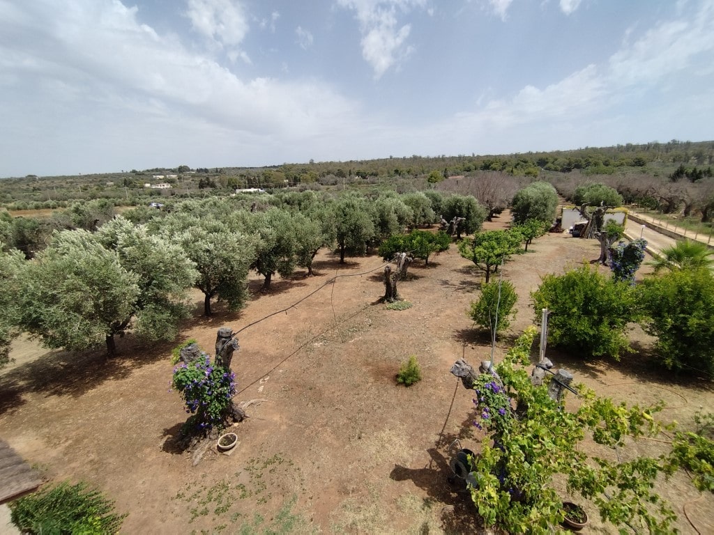 Giano Group Immobiliare